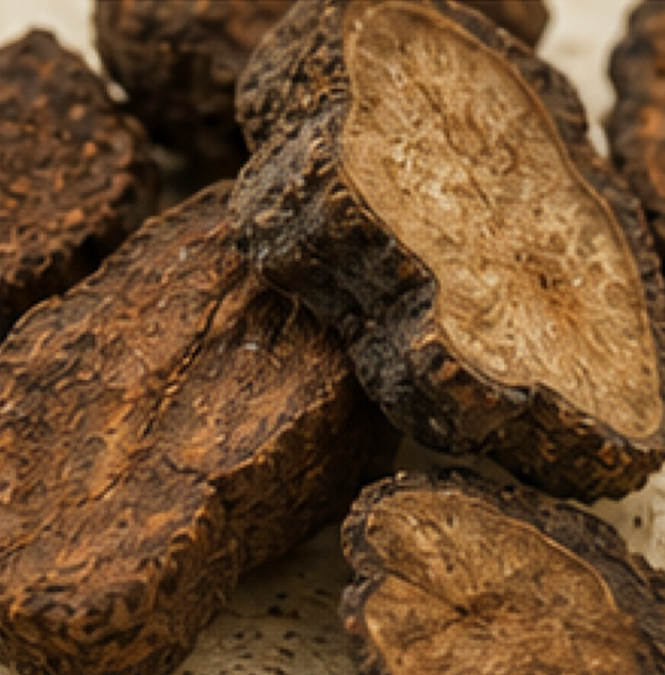 GINSENG + FO-TI