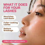 Lash Essence